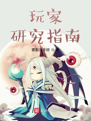 玩家研究指南 小说