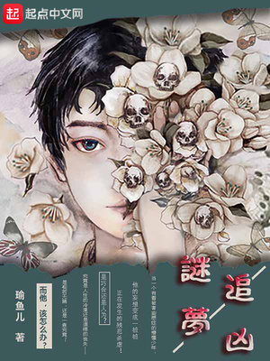 谜梦追凶精校版