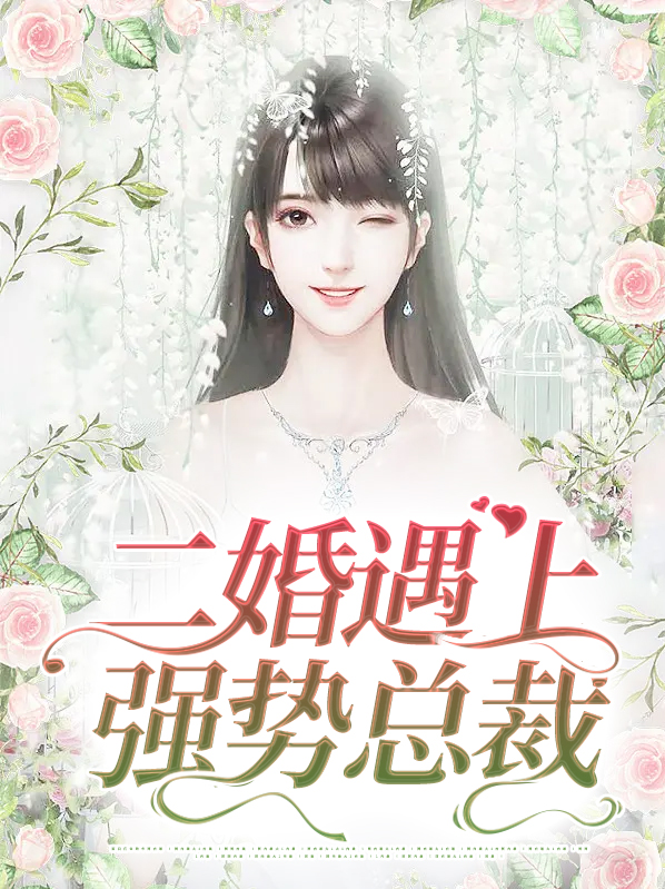 二婚再嫁总裁文