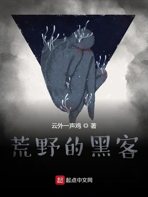 荒野的黑客 小说