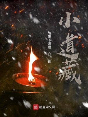 小道藏笔趣阁全文阅读