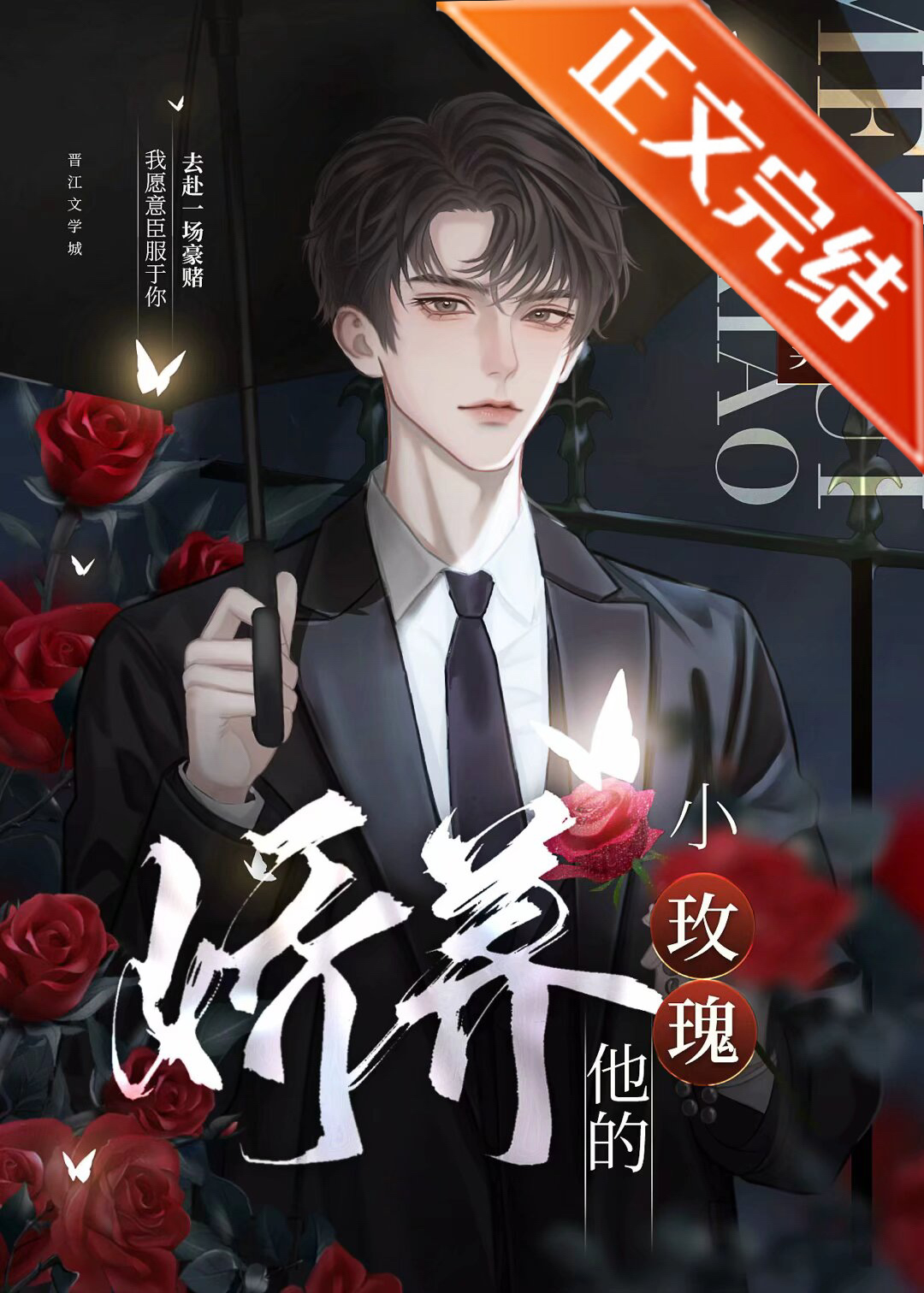 娇养他的小玫瑰 晋江