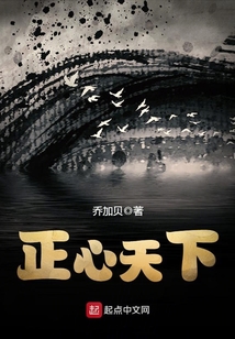 正心天下 小说