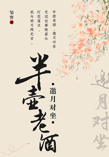 半壶老酒的意思是什么