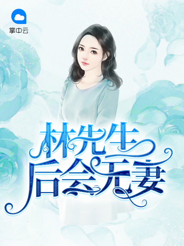 林先生的小说