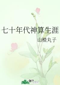 七十年代神算生涯百度云