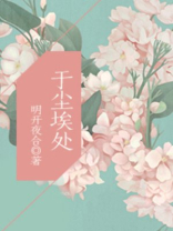 于尘埃处全文免费阅读