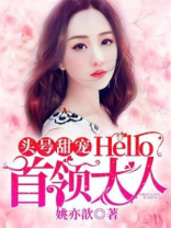 小说首领