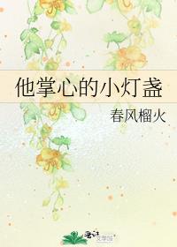 他掌心的小灯盏小说