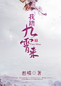 我踏九霄来故事大概