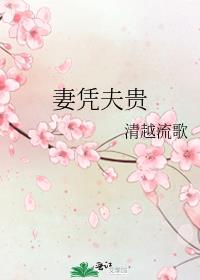 妻凭夫贵