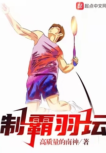 制霸羽坛txt
