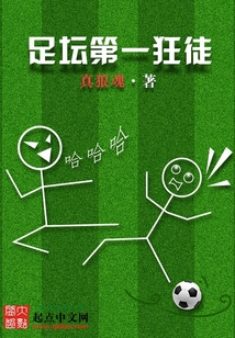 足坛第一狂徒笔趣阁