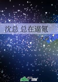 沈总 总是在氪