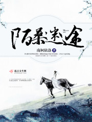 迷途陌客 小说