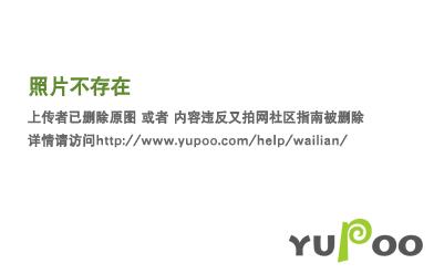 我的道侣天下第一剧透