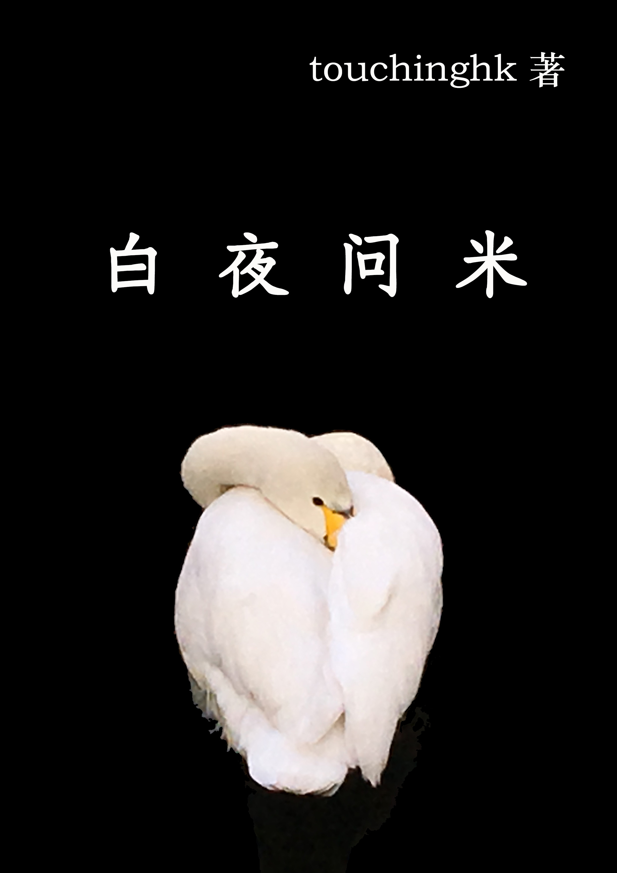 白夜问米男女主在一起了吗