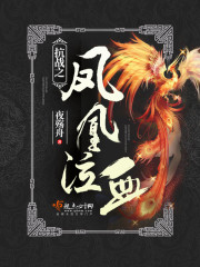 抗战之凤凰泣血 小说