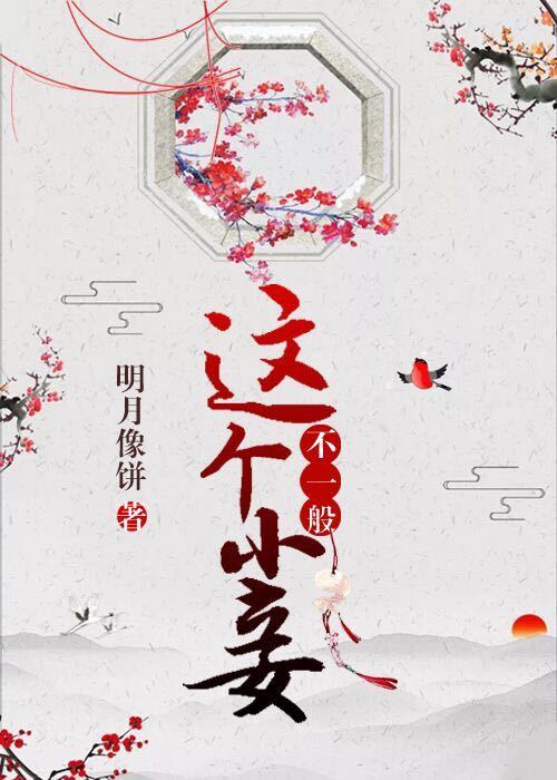 这个小妾不一般 网盘