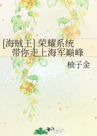 海贼王的荣誉
