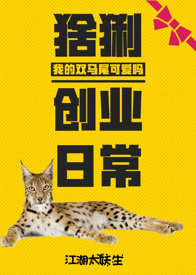 猞猁创业日常txt