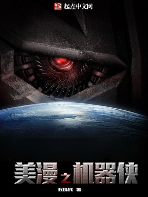 美漫之机器侠 小说