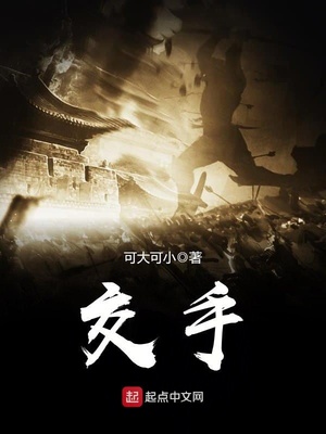 交手小说