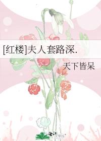 红楼夫人套路深类似小说推荐