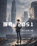 序号:2051