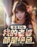 狂龙下山:我的老婆都是绝色