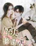 娇妻你好甜