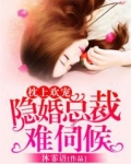枕上欢宠:隐婚总裁难伺候
