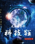 天上掉下个科技狂