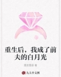 重生后,我成了前夫的白月光