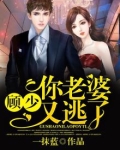 顾少,你老婆又逃了