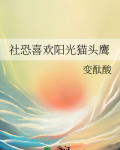 社恐喜欢阳光猫头鹰