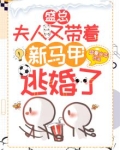 盛总,夫人又带着新马甲逃婚了!