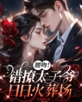 腰吻!错撩太子爷,日日火葬场