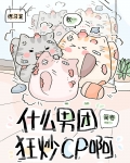 什么男团狂炒cp啊？