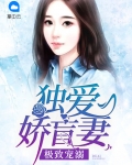 极致宠溺：独爱娇盲妻