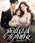 霸道总裁专宠离婚女