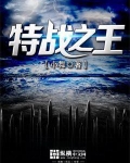 特战之王
