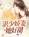偏偏宠爱：湛少娇妻她好甜