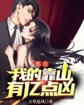 都市:我的靠山有亿点凶