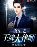 重生之王牌大律师