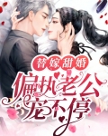 替嫁甜婚：偏执老公宠不停