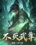 不灭武尊