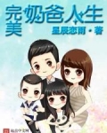 完美奶爸人生