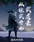 从综武开始：武道录