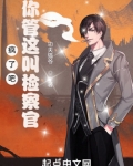 疯了吧，你管这叫检察官